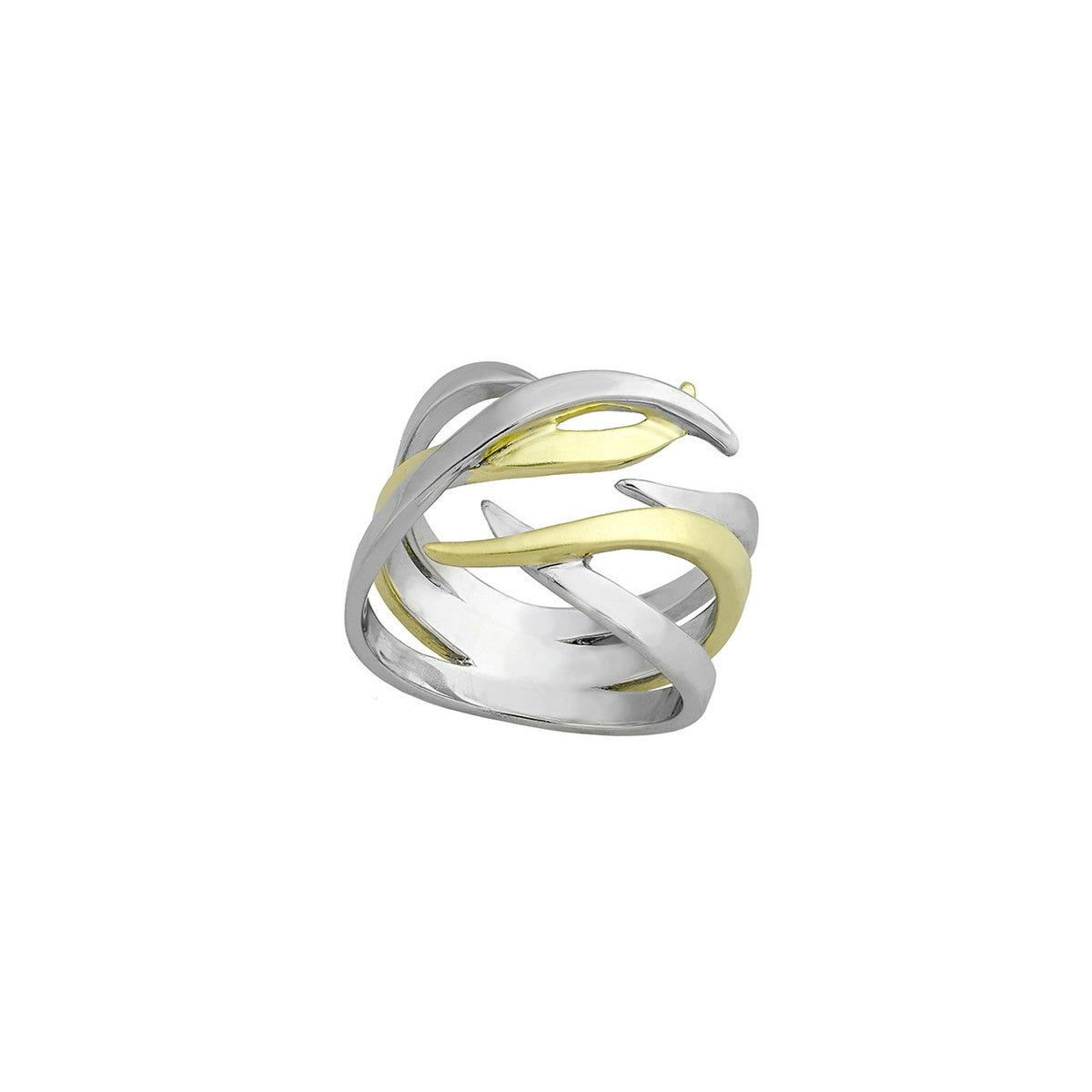 Silver & Gold Ring