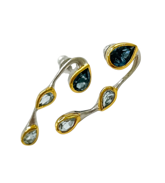 Silver Earrings With Gems