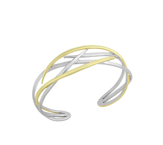 Silver & Gold Bangle