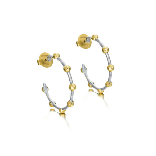 Dual Color Earrings