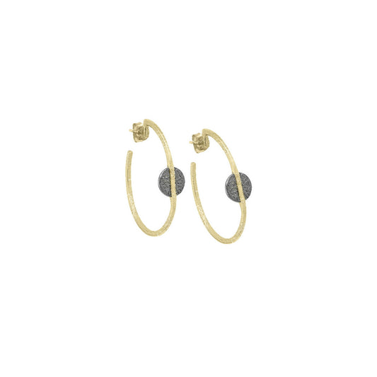 Two Tone Hoop Earrings